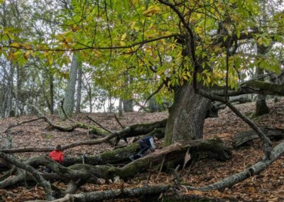 Castañar de Valdeazores, un plan ideal en otoño con los niños